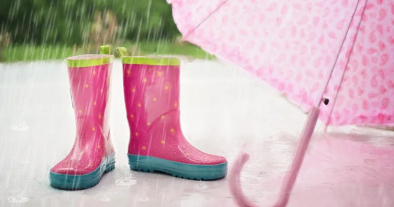 Safari en saison des pluies : l'option que tout le monde ignore et qui vaut le coup