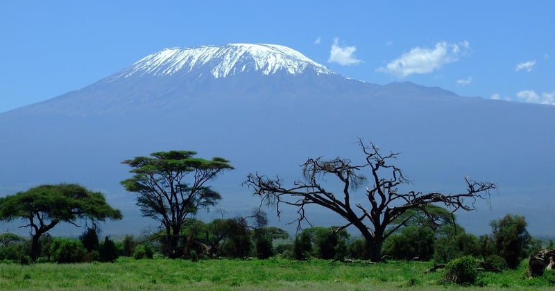 Safari en Tanzanie : comment organiser son voyage dans les parcs nationaux